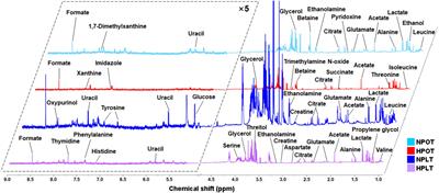 Metabolic adaptations of Shewanella eurypsychrophilus YLB-09 for survival in the high-pressure environment of the deep sea
